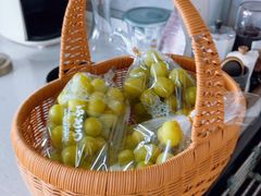 -美家乐农庄·露营·团建(大治路店)