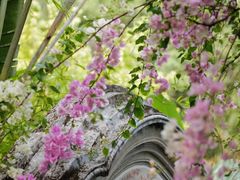 -深圳国际园林花卉博览园