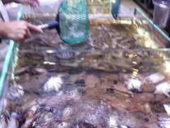 -聚盛源蒸汽海鲜火锅烤肉自助(巨川金海岸购物广场店)