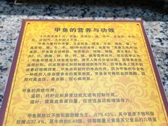 -大圣甲(汉口店)