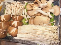 -同仁四季椰子鸡(海岸城天利店)