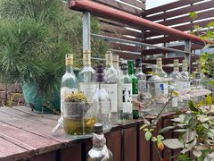 -哈瓦那雪茄酒廊超市(武汉天地分店)