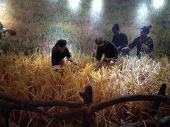 -海南槟榔谷黎苗文化旅游区