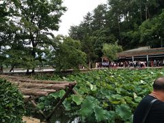 -韶山毛泽东同志故居