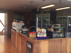 -怀托摩萤火虫洞