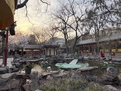 -白家大院·王府宫廷菜(苏州街店)