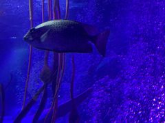 -沈阳海洋探索中心