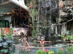 -正佳雨林生态植物园