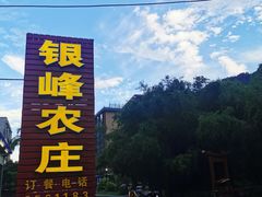 -银峰农庄·特色烧鸡·鲜无花果浸鸡