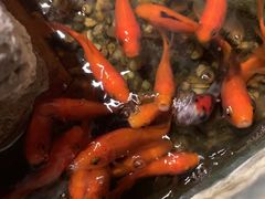 -邈墨茶馆(凤起路店)