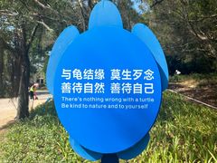 -广东惠东海龟国家级自然保护区