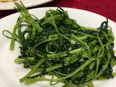 -蛇口康乐快餐鱼仔档(翠苑小区店)