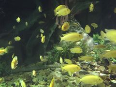 -福州罗源湾海洋世界旅游区