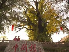 -大槐树寻根祭祖园