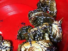 -青石桥市场北1-27号