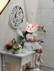 -同远QQBABY亲子摄影(北京路店)