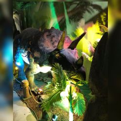 -恐龙探索乐园(磁器口店)