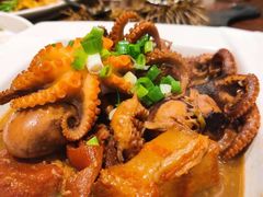 活八爪鱼炖红烧肉-赶海部落海鲜城(海阳路店)