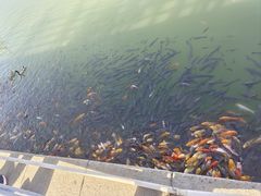 -济南方特东方神画