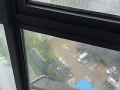 -复旦软件园