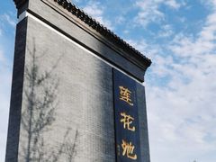 -莲花池公园