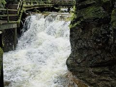 -牛背梁国家森林公园