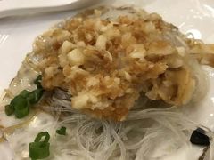 蒸元贝-北海渔村酒楼·粤菜海鲜点心(新华店)