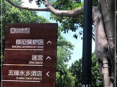 -五缘湾湿地公园