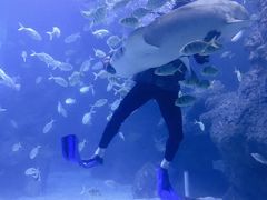 -左海海底世界