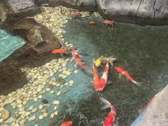 -嘉兴海底世界