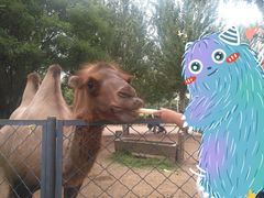 -长白岛森林公园