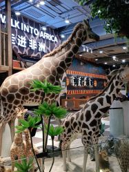 -鲁比猴非洲探索部落(喜盈门店)