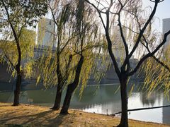 -尚贤河湿地