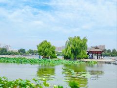 -济南大明湖景区