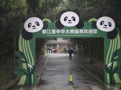 -都江堰中华大熊猫苑