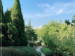-白塘生态植物园