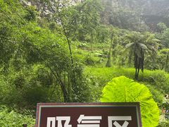 -百魔洞景区