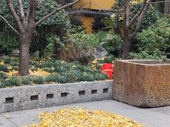 -龙华寺