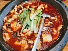 江团-都江堰石锅鱼