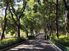 -东莞植物园