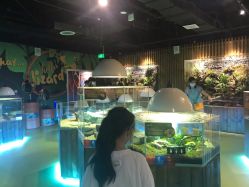 -七巧国萌宠乐园(龙湖天街店)