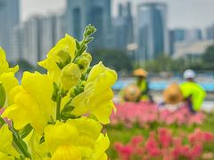 -海心沙亚运公园