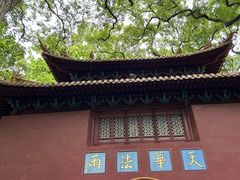 -普陀山风景名胜区-法雨禅寺