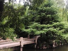 -水绘园
