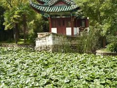 -庾园