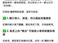 -京北渔家傲
