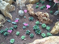 -南通洲际绿博园