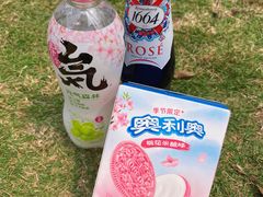 -海珠湖公园