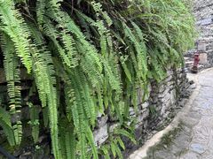 -高荡千年布依古寨旅游景区