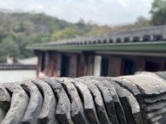 -杭州黄龙洞